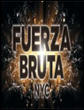 Show poster for Fuerza Bruta