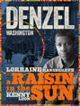 Show poster for A Raisin in the Sun