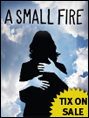 Show poster for A Small Fire