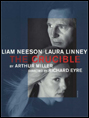 Show poster for The Crucible