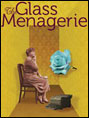 Show poster for The Glass Menagerie (2010)