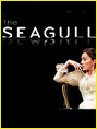 Show poster for The Seagull