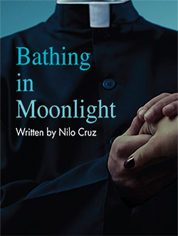 Show poster for Bathing in Moonlight