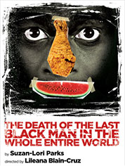Show poster for The Death of the Last Black Man in the Whole Entire World