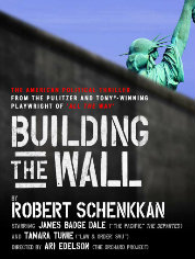 Show poster for Building The Wall