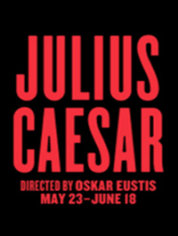 Show poster for Julius Caesar- The Public