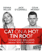 Show poster for Cat on a Hot Tin Roof (London 2017)