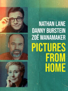 Poster for Pictures From Home